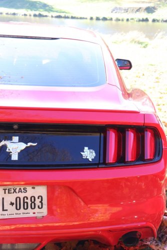 Pronájem - Ford Mustang 24 hodin