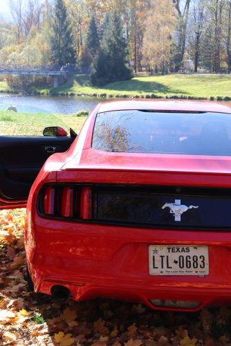 Pronájem - Ford Mustang 4 hodiny (víkend)