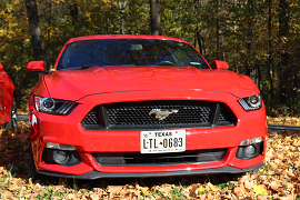 Pronájem - Ford Mustang 24 hodin