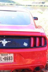 Pronájem - Ford Mustang 24 hodin