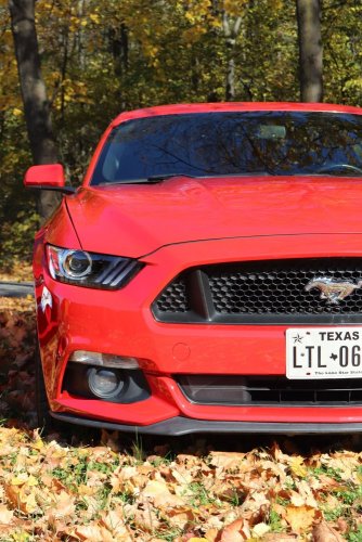 Pronájem - Ford Mustang 24 hodin